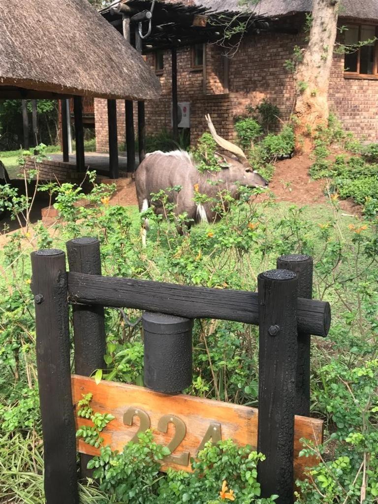 Kruger Park Lodge, Kubu Lodge 224 เฮซีวิว ภายนอก รูปภาพ